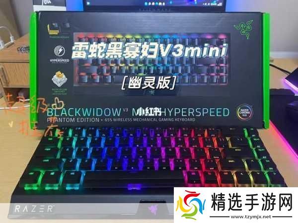 黑寡妇V3有线和无线区别