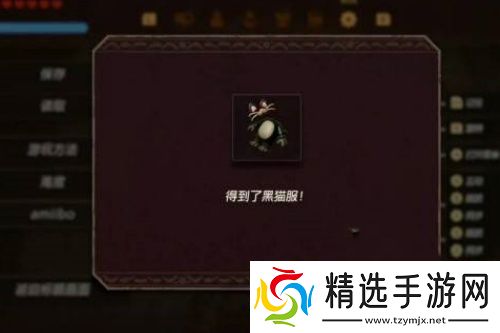 塞尔达传说智慧的再现黑猫服怎么获取