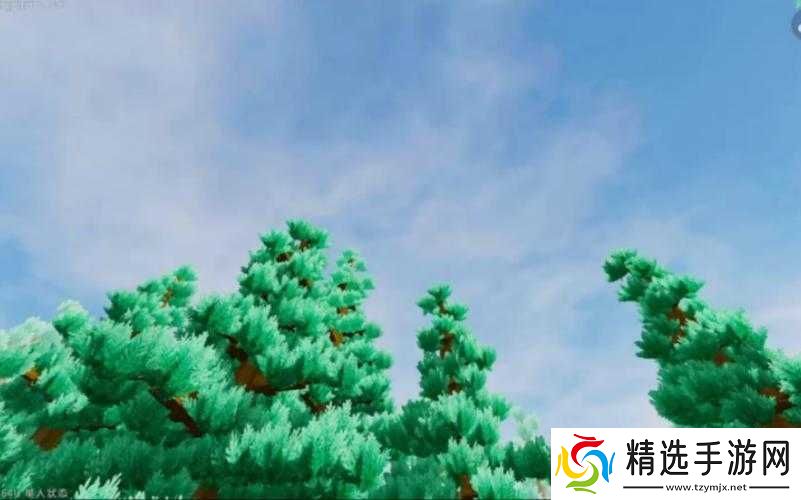 光影世界中的艺术创作