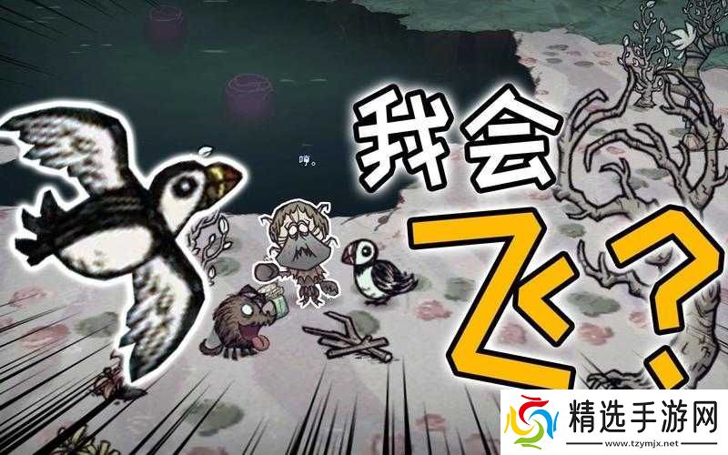 饥荒海鸥血量详解