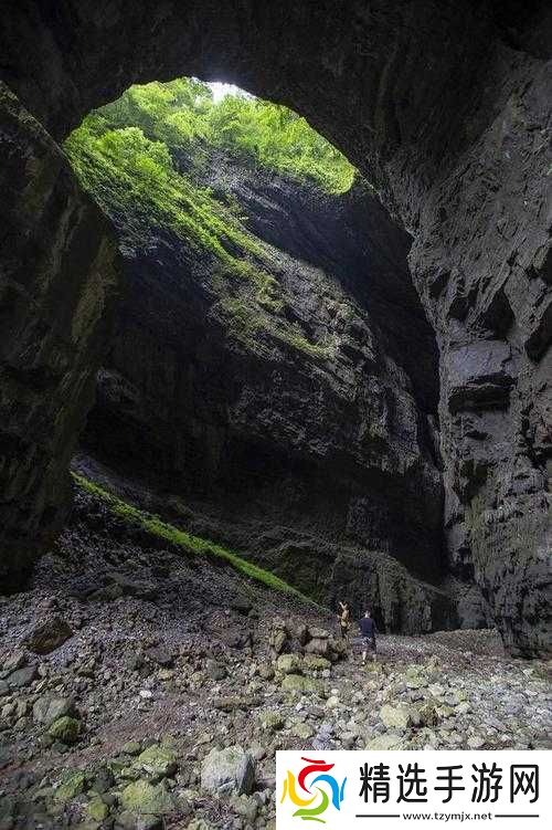 成品网站入口隐藏通道