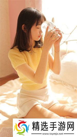 未来已至！日本WindowsServer深度优化