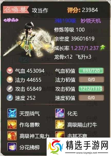 大话西游手游全新宠物揭秘