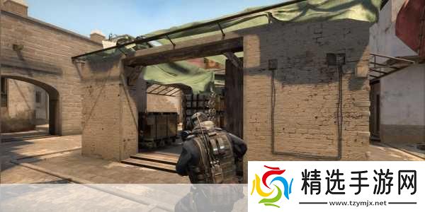 日本CSGO大姐姐AWP价格是多少