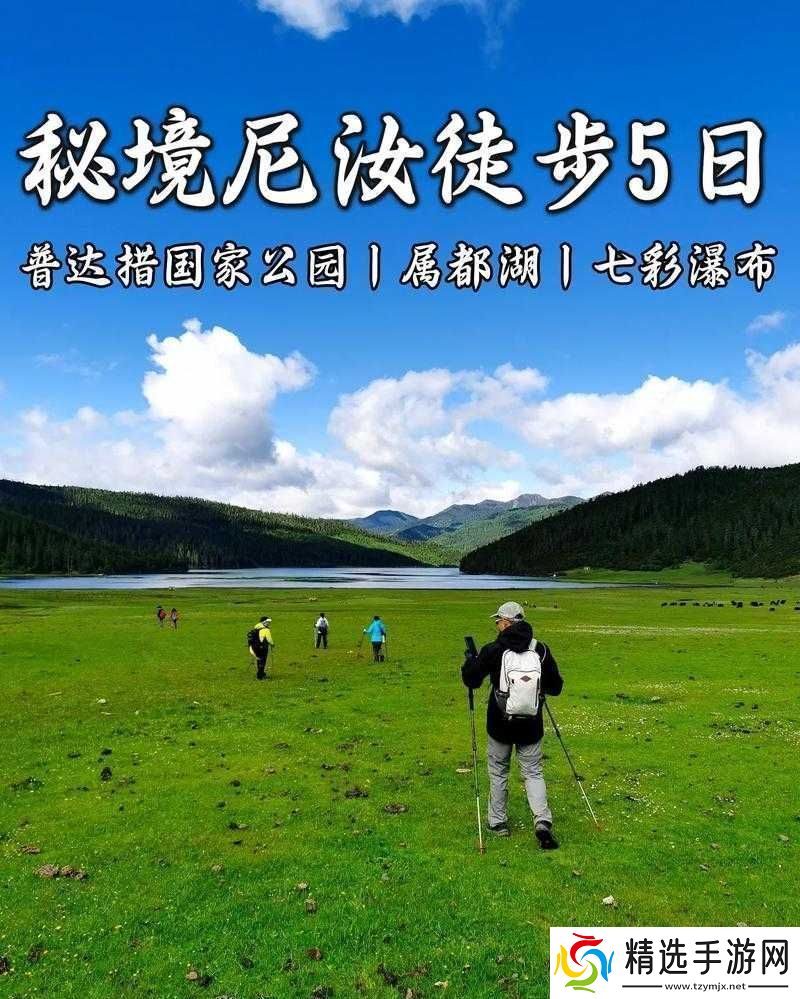 大手向下游走来到芳草地