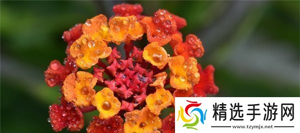 国产精华液三线品牌选购指南