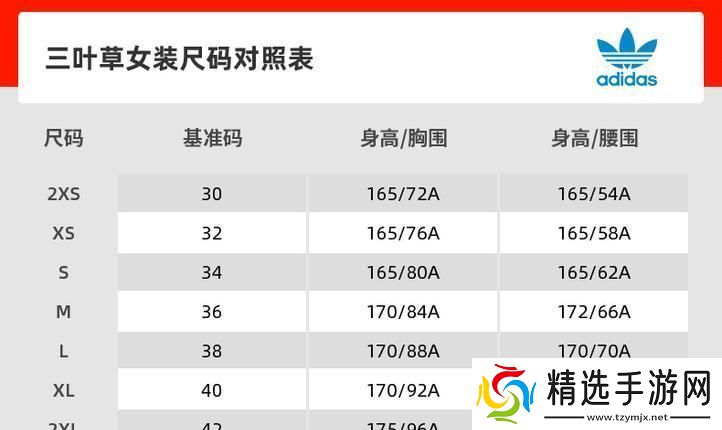 “三叶草”编码风云