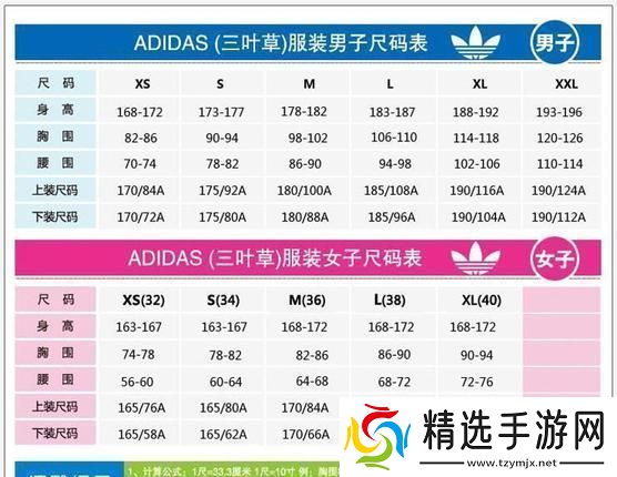 “三叶草”编码风云