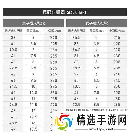 “三叶草”编码风云