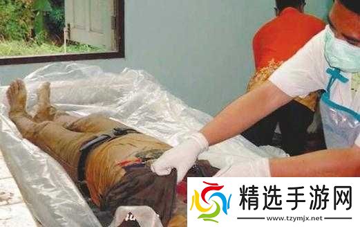 缅甸北部血腥网站