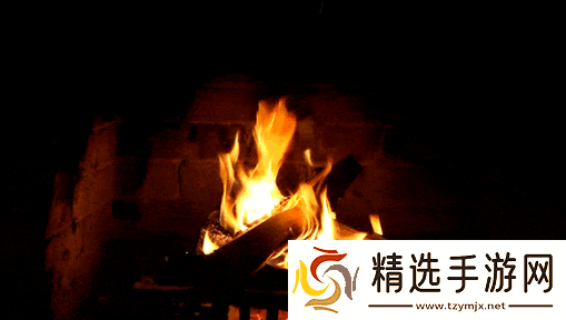 小东西惹了火要负责灭