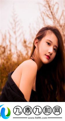 野花视频在线观看高清