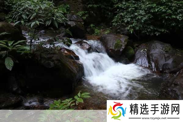 黄龙风景区溪水潺潺的秘密