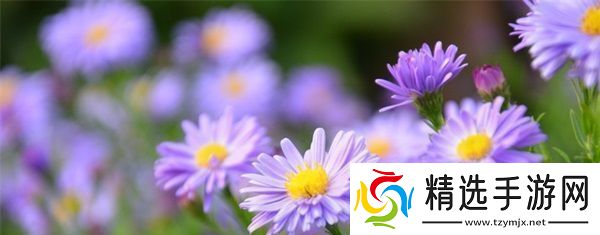 sp发刷红肿双丘旧巷笙歌的文学描写