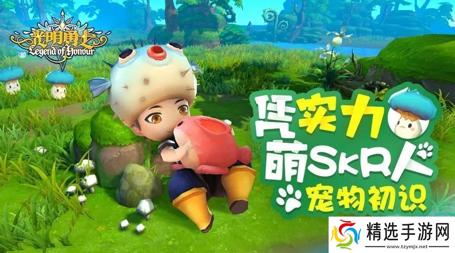 光明勇士随机金宠怎么获得