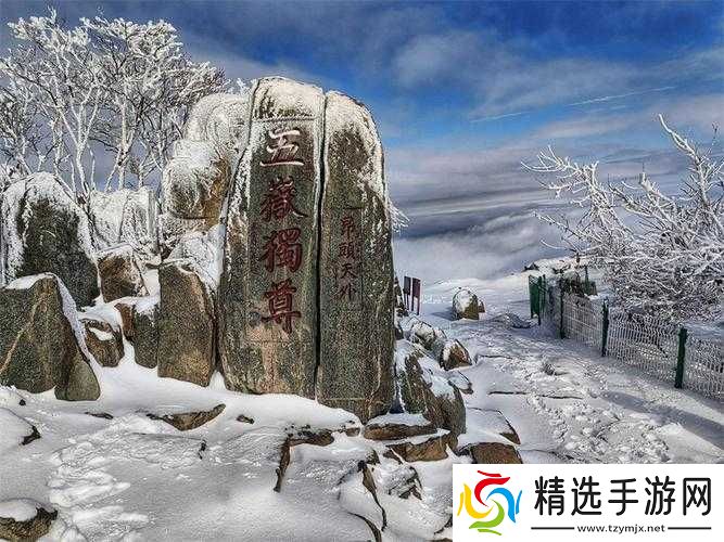 老孙头的春天与林初晴的故事