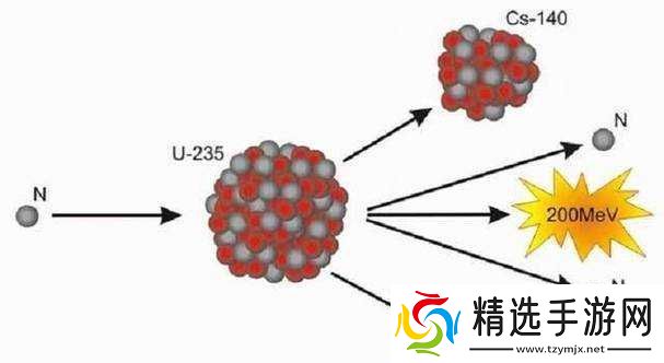 音乐老师兔子弹弹免费观看