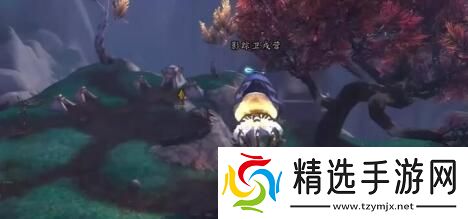 介绍瞎忙的谐奏