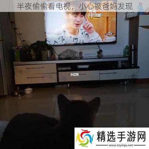 半夜偷偷看电视