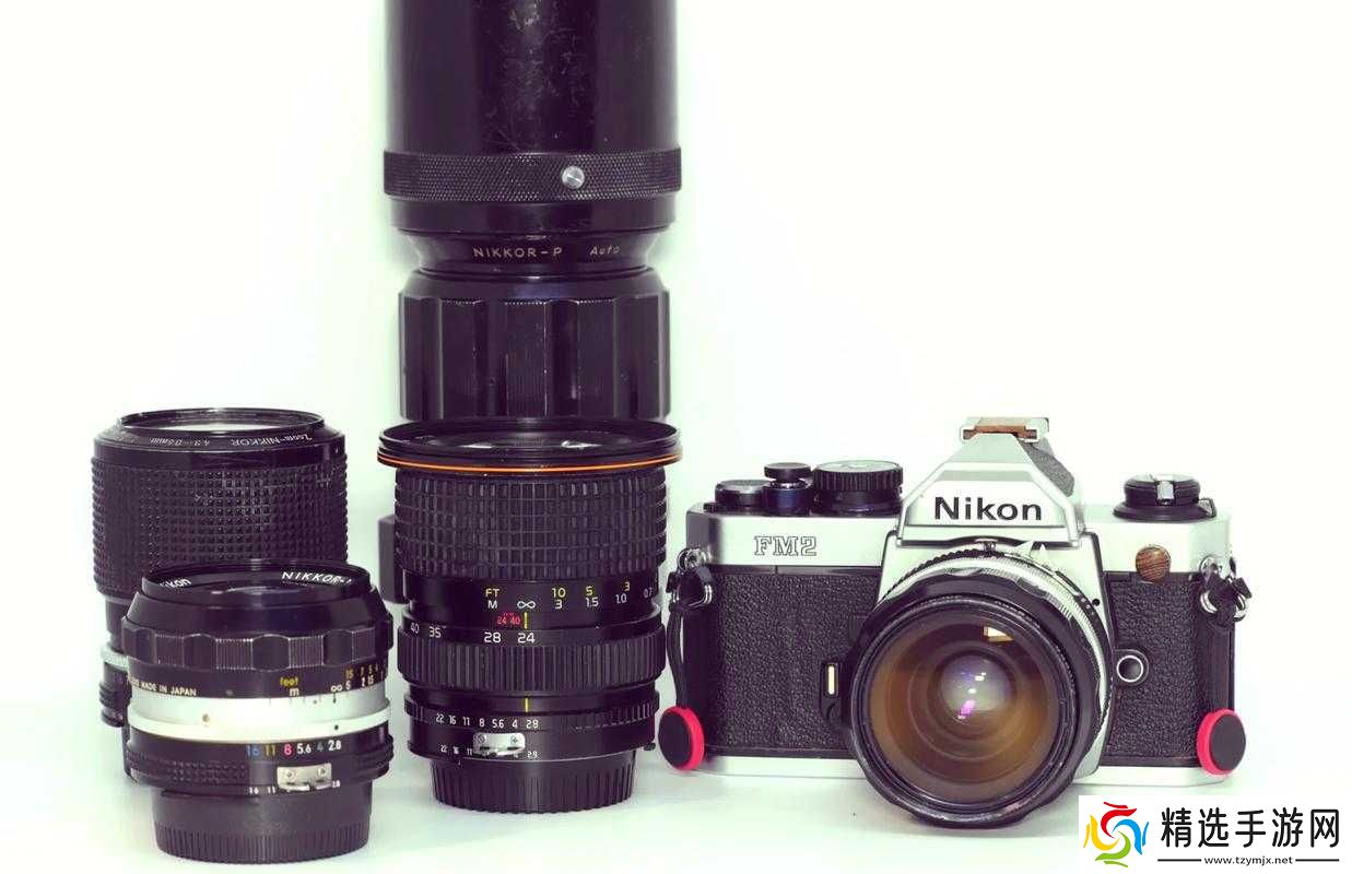 丰年经继拇中文2值得入手吗