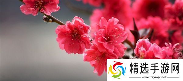 冯珊珊户外任务大全