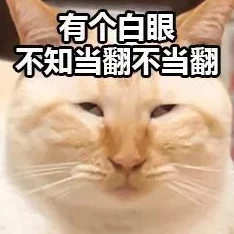 仙女肚子里面满满的都是精华