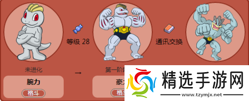 口袋妖怪火红腕力捕捉地点一览