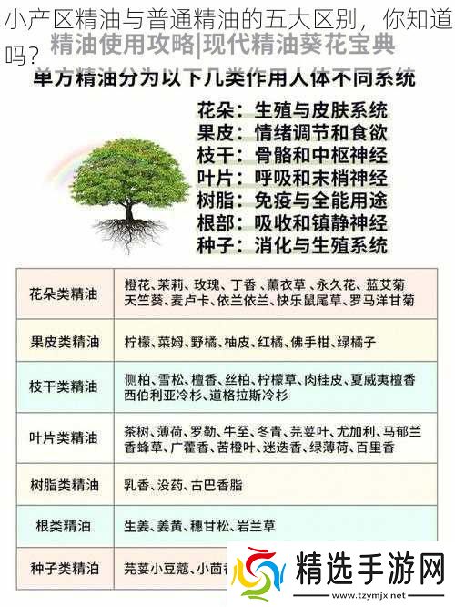 小产区精油与普通精油的五大区别