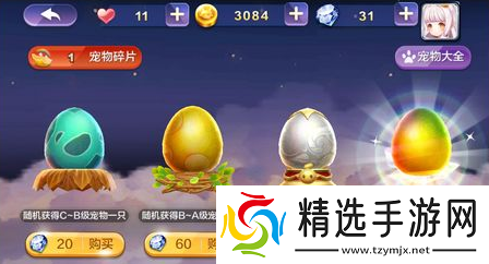 天天风之旅宠物性价比排行大揭秘