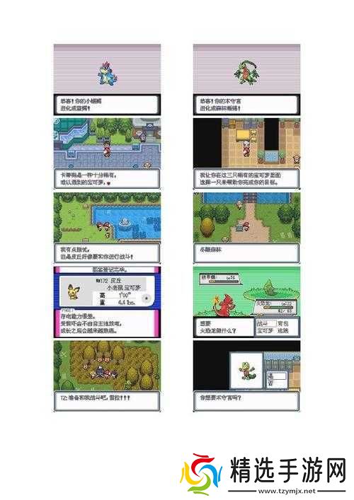 口袋妖怪白金光二周目攻略详情