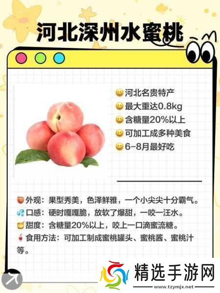 水蜜桃一三四专区