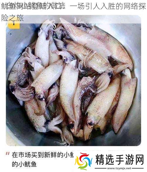 鱿鱼站登陆入口