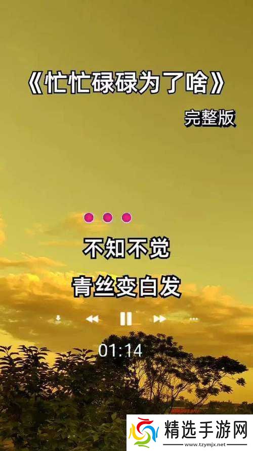 抖音停留之不如安静这首歌旋律动听