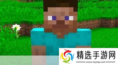 独家爆料杰克·米德尔顿·布莱克或成我的世界电影版史蒂夫