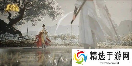 射雕配置要求是什么