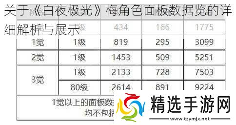 关于白夜极光梅角色面板数据览的详细解析与展示