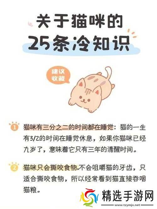 探索神秘黑夜中猫的秘密掌握与猫共处的实用攻略指南