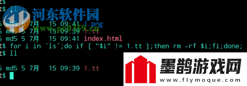 如何使用rm命令删除特定文件