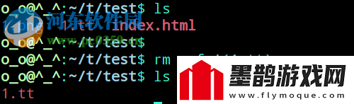 如何使用rm命令删除特定文件