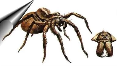 超自然蜘蛛怪物