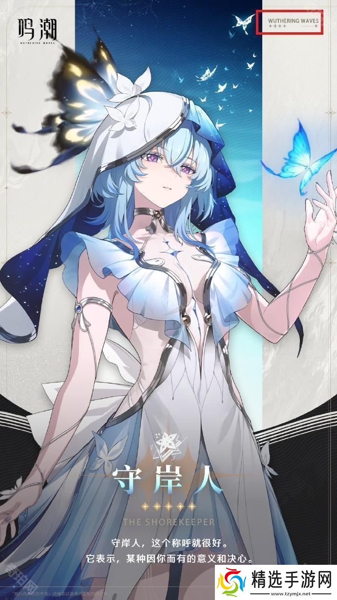 鸣潮怎么分辨角色是5星还是4星