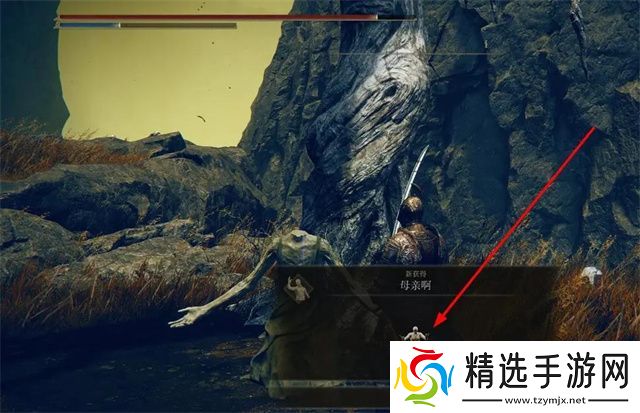 艾尔登法环母亲啊怎么获得DLC母亲啊姿势获得方法