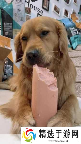 小洞饿了想吃大火腿肠