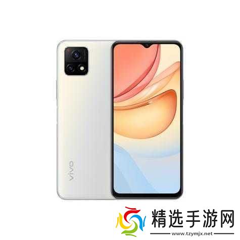 成色好的y31s标准版官