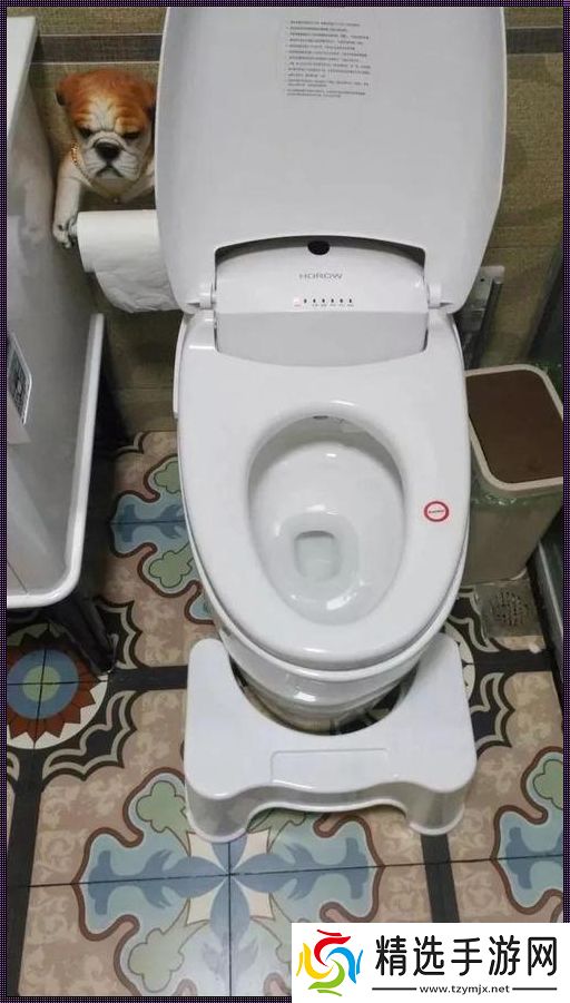 静默空间里的自嘲狂欢