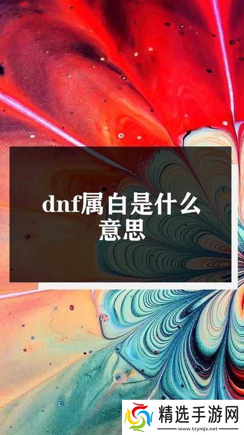DNF属白是什么意思