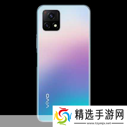 成色好的y31s标准版官