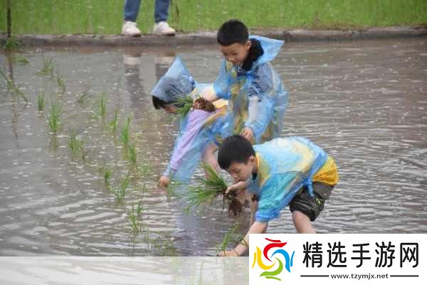 夫妻插秧100种方法图片大全