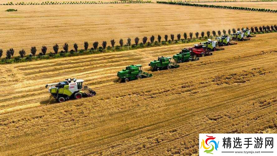 韩国朋友家麦子种植经验