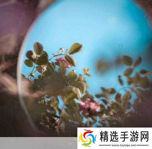 对镜子看我们的结合处1.镜中映照